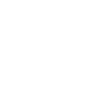 Agile Octopus