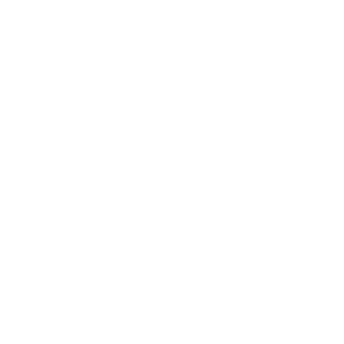 Clarion Intelligent VOICE