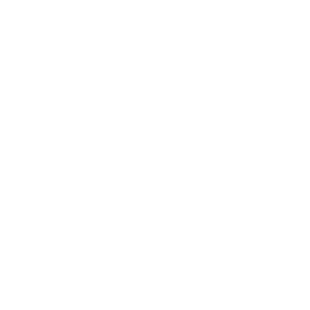 WordPress Any new post.