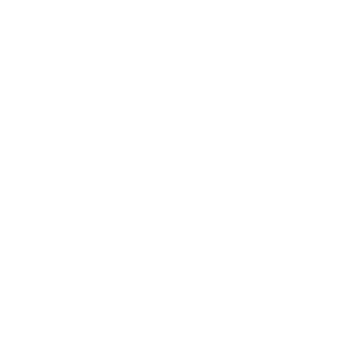 Salesforce Advanced: Insert a Record.
